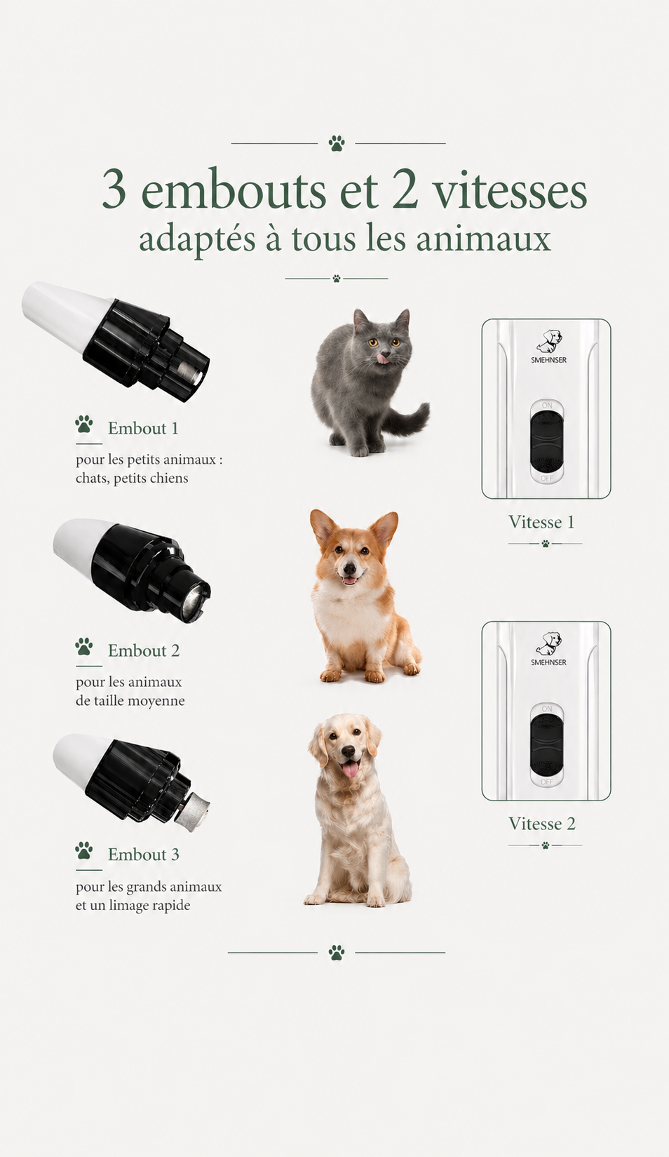 Lime à Ongles Électrique Silencieuse pour Chien et Chat