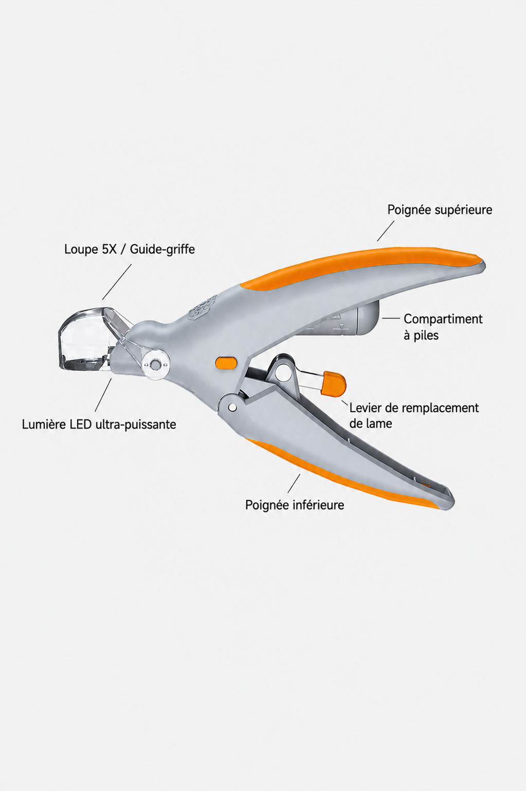 Coupe-Ongles Professionnel LED pour Chien et Chat